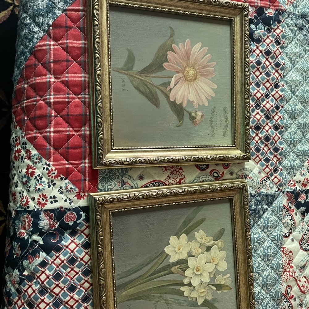 Pair of floral pictures in gold filigree frame
